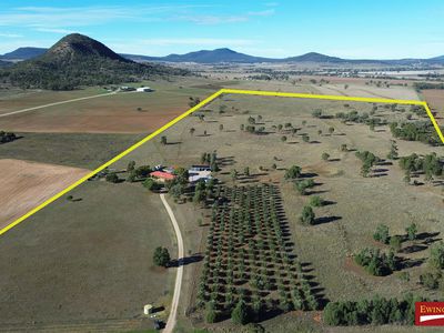 925 Quia Road, Gunnedah