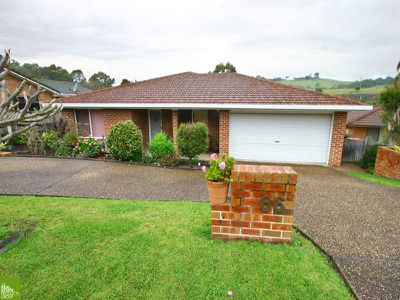 Blackbutt