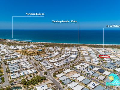 16 Cuttlefish Street, Yanchep