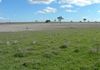 * Finches Road, Molong