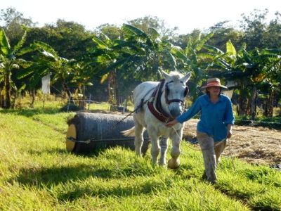 2120 Endeavour Valley Road, Cooktown