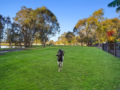 752 Beachmere Road, Beachmere
