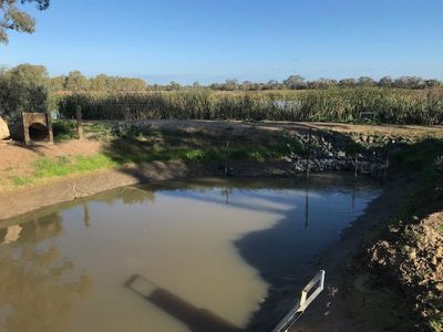 317 Lilford Lane, Barham