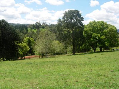 101 Kidaman Creek Rd, Obi Obi