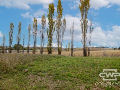 Lot 1, Golf Links Road, Glen Innes