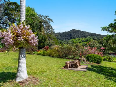 197 Palmwoods Road, Palmwoods