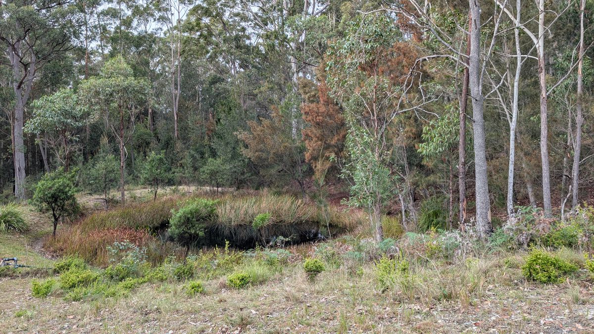 150 Potato Point Road, Bodalla