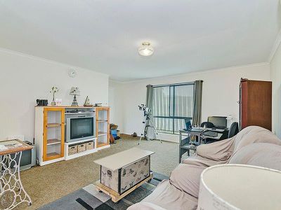 91 Begonia Street, Browns Plains