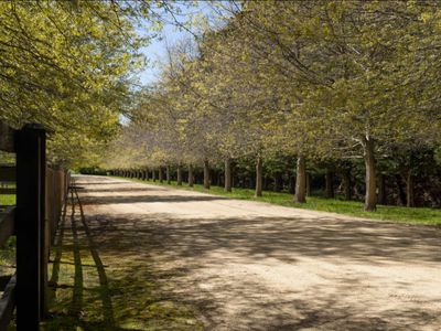 38 Syndicate Road, Mount Macedon