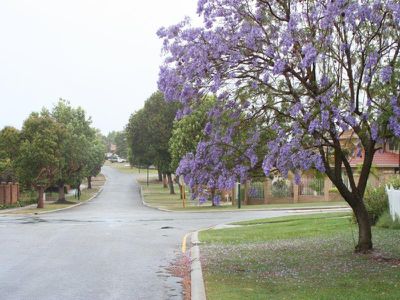 41 Alston Avenue, Como