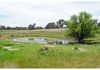 839 Gum Flat Road, Euchareena