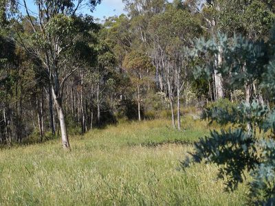 Ra Airds Road, Wattle Grove
