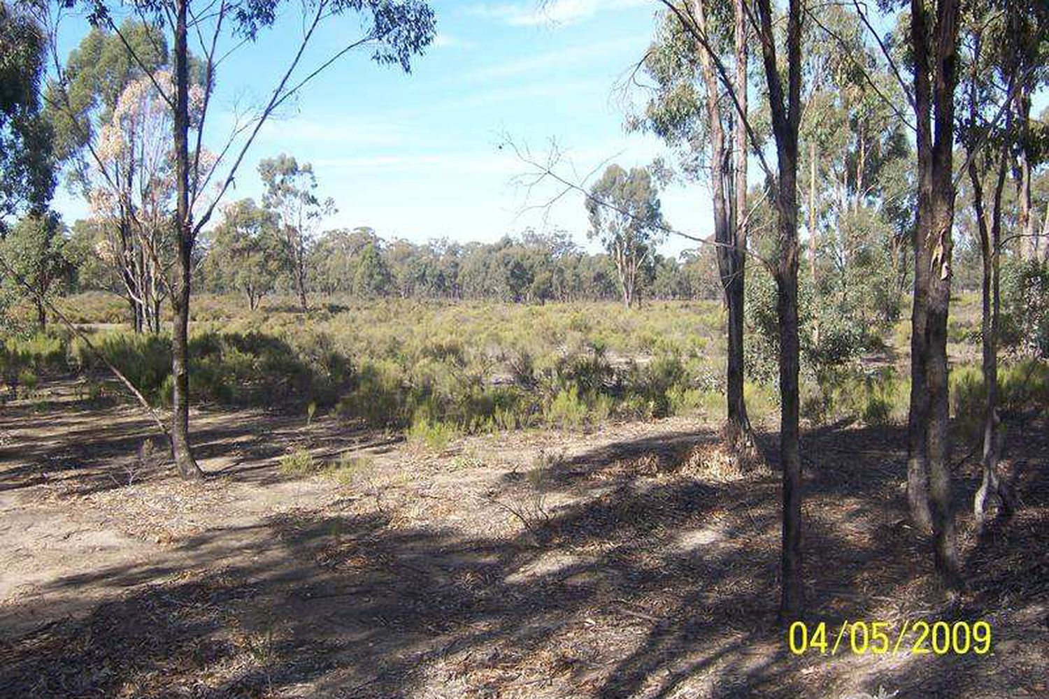 Willows Road, Murchison