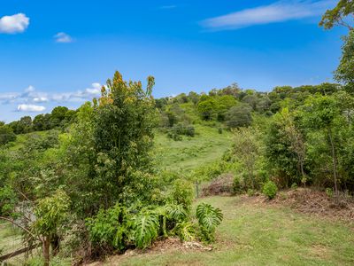 46 Middle Creek Road, Federal