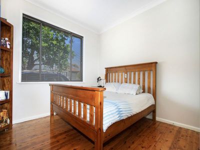 162 Pur Pur Avenue, Lake Illawarra