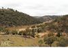 1420 Bundalah Road, Euchareena