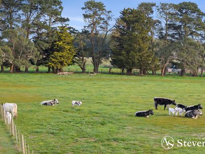 172 Grahams Road, Lancefield