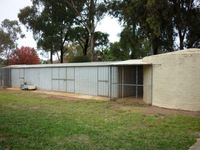 11 Lakeland Drive, Dubbo