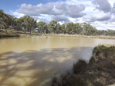 Glen Innes Road, Emmaville
