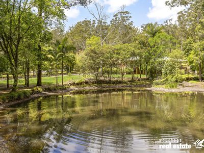 77 Albert Street, Kendall