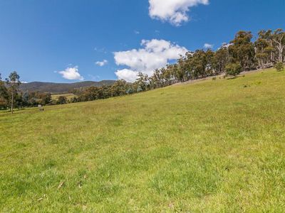 104 Judds Creek Road, Judbury