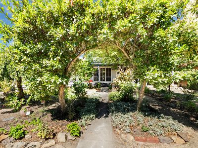 8 Playne Street, Heathcote