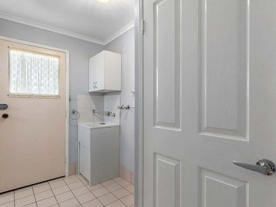 66 Ibis Boulevard, Eli Waters