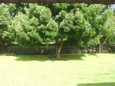 Glen Innes