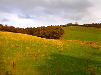 30 Acres Off Abbots Road, Nicholls Rivulet