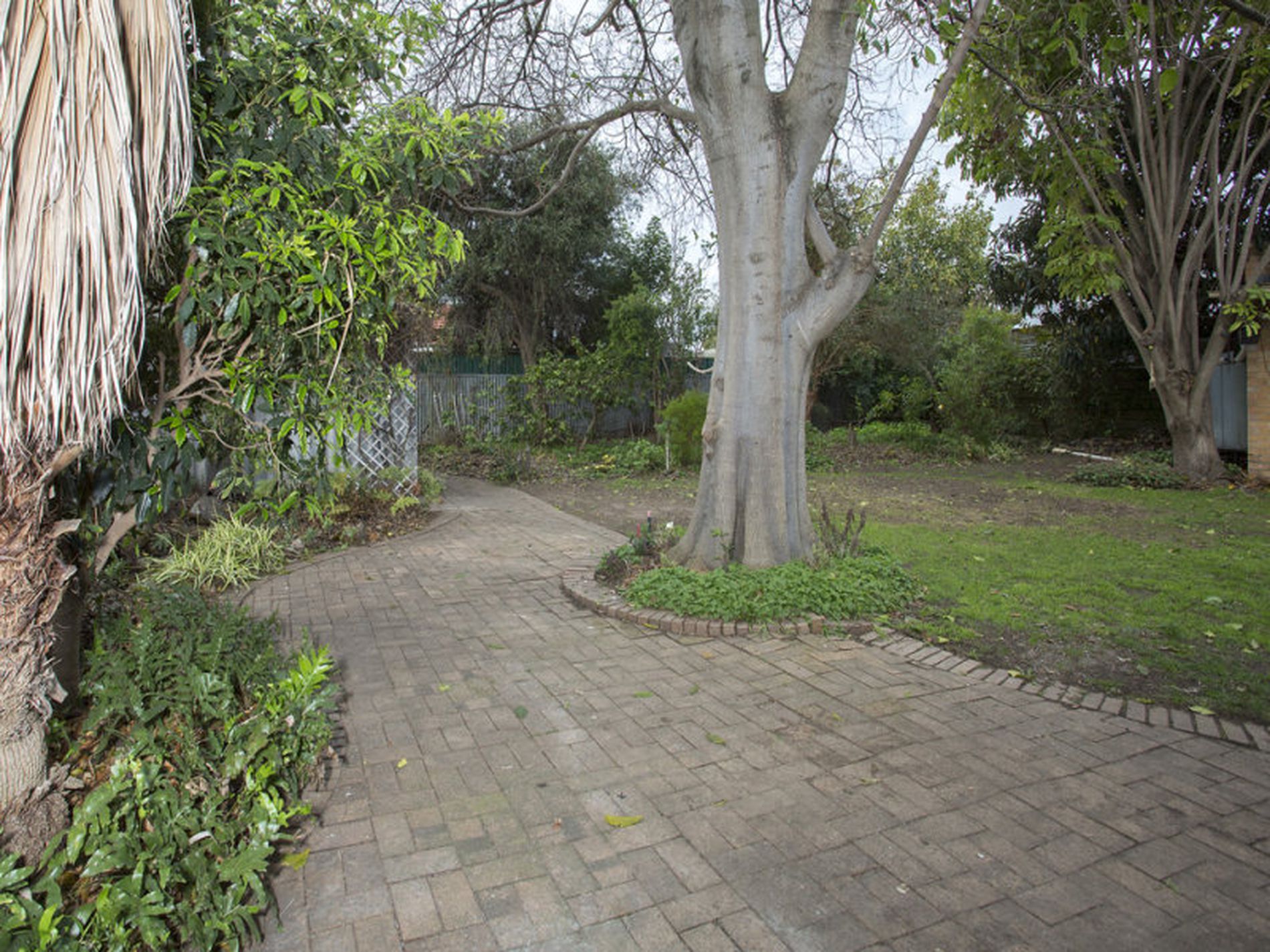 52 Malurus Avenue, Lockleys