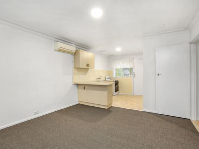 6 / 41 Cypress Avenue, Brooklyn