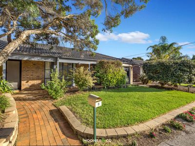 8 Sandpiper Place, Frankston