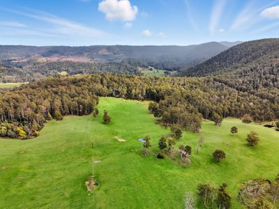 64 Mersey Forest Road, Liena