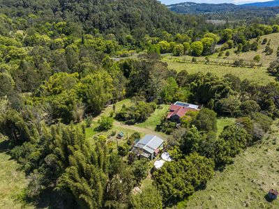 2394 NIMBIN ROAD, Nimbin