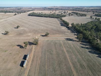 1501 Howlong-Goombargana Road, Brocklesby