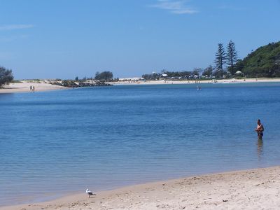 4A PRINCESS PALM / 969 GOLD COAST HWY, Palm Beach