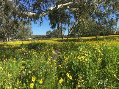 Lot 25, Mount Street, York