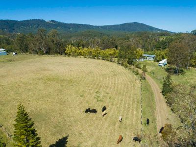 112 Homeleigh Road, Homeleigh via, Kyogle