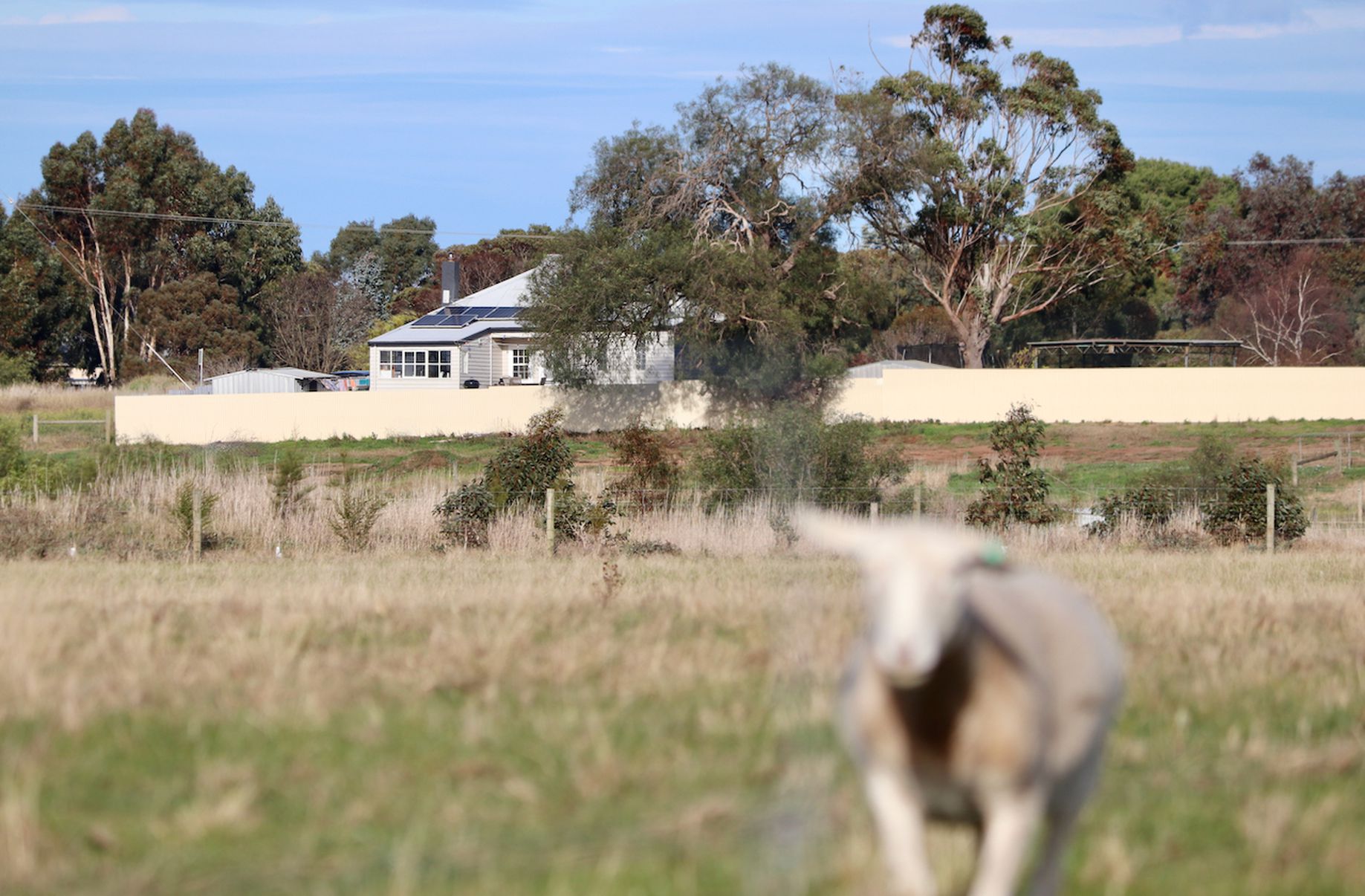 38 Cemetery Road, Inverleigh