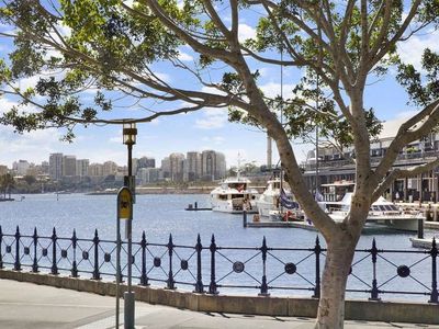 308 / 15 Pirrama Road, Pyrmont