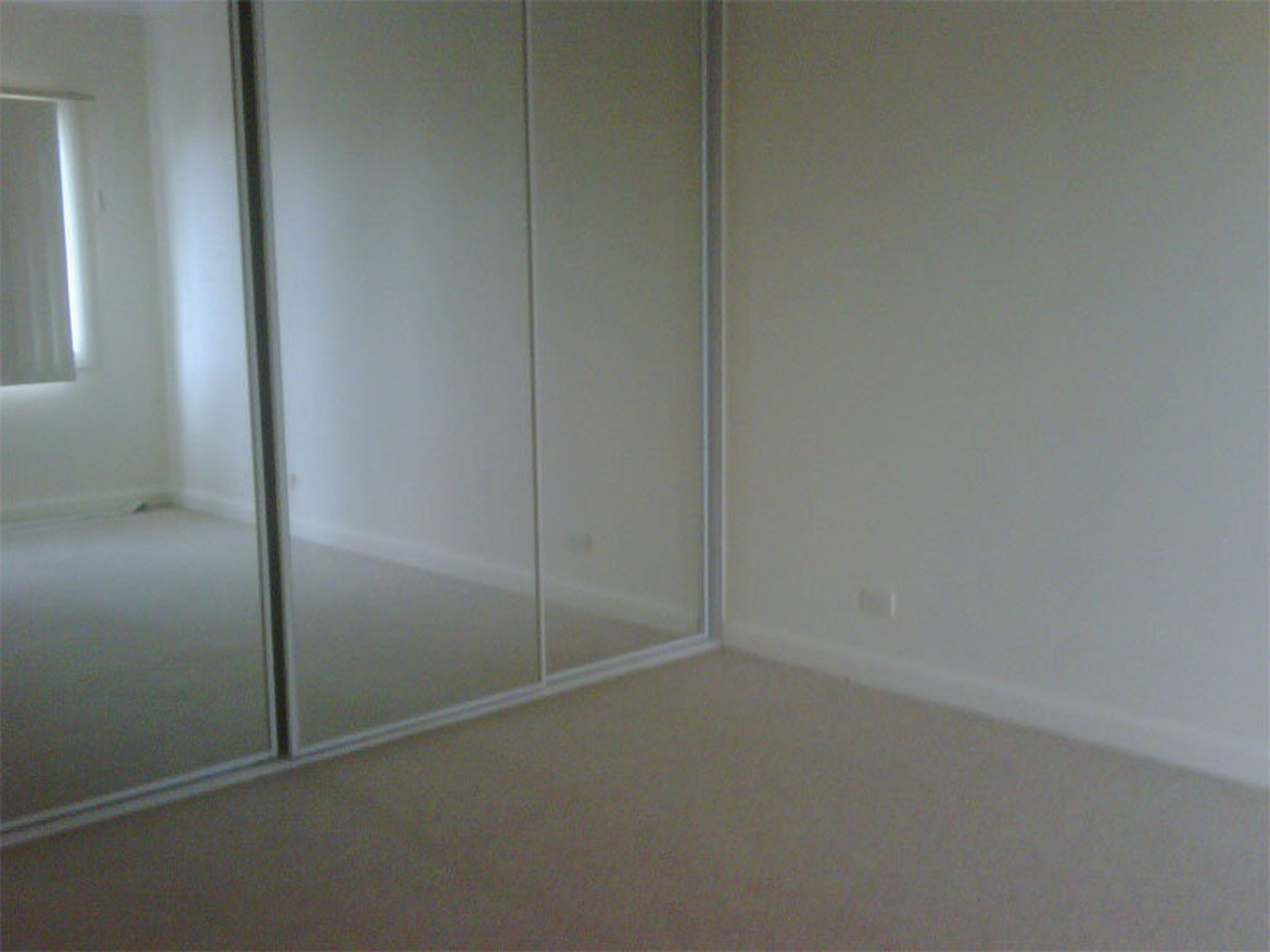 2 / 51 Hereford Street, Glebe