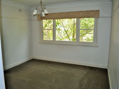 231 Scrubby Creek Road, Mitta Mitta