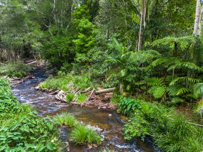 20 Lilly Pilly Road, Wilsons Creek