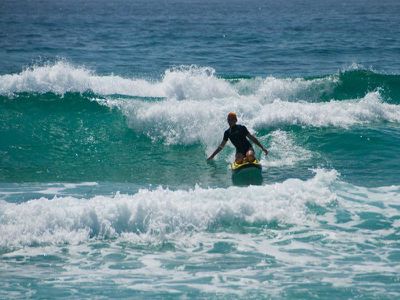 5 Fan Palm Court, Ulladulla