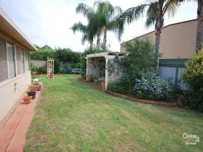 41 Cormorant Crescent, Dubbo