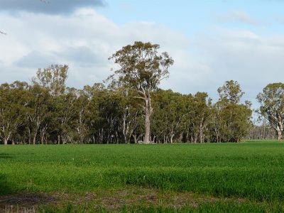 Tocumwal