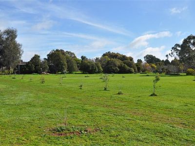 120A Calarie Rd, Forbes