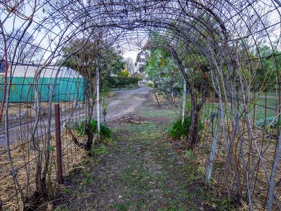 "Birrabang' 826 Gerogery Road, Jindera
