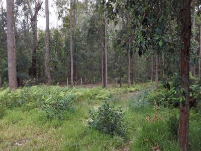 8A 8A Colden Place, Ulladulla