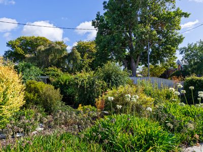 22 Saunders Street, Wynyard